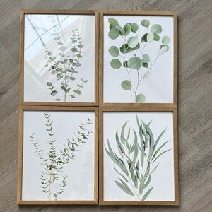 Set of 4 Botanical Wall Art Prints with Wooden Frames